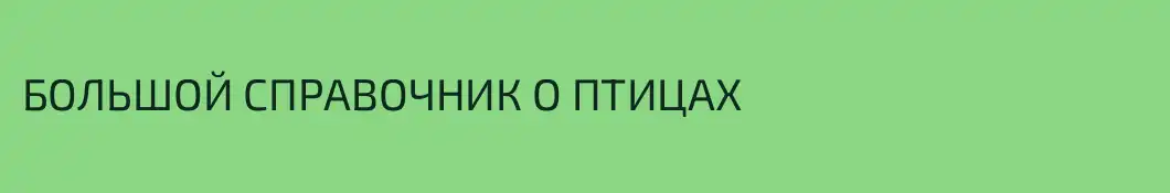 БОЛЬШОЙ СПРАВОЧНИК О ПТИЦАХ